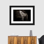 The Lone Wolf Wall Art