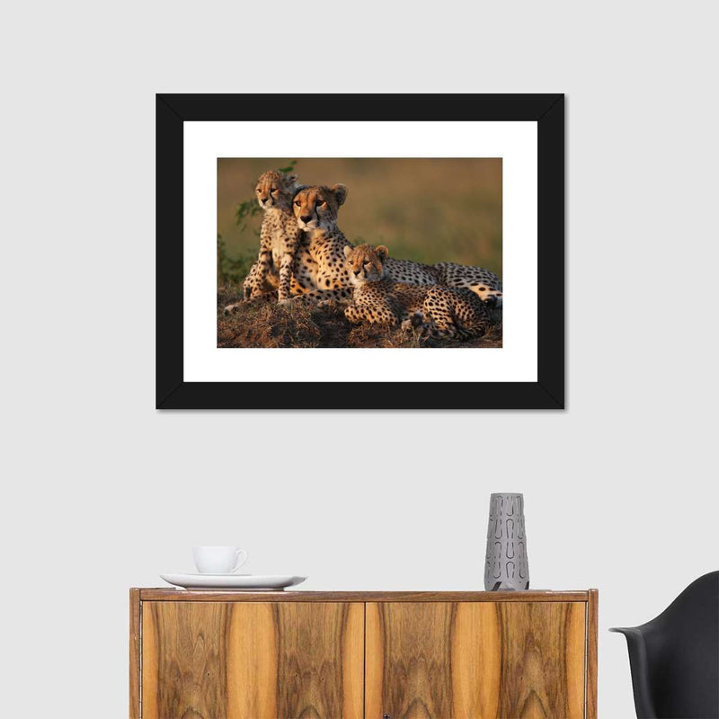 Safari Cheetah Family Wall Art