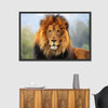Proud Lion Wall Art