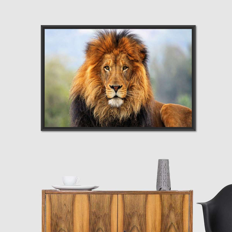 Proud Lion Wall Art