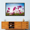 Wild Cosmos Flowers Wall Art