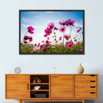 Wild Cosmos Flowers Wall Art