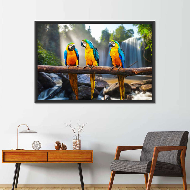 Macaw Friends Wall Art