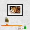 Leopard Gaze Wall Art