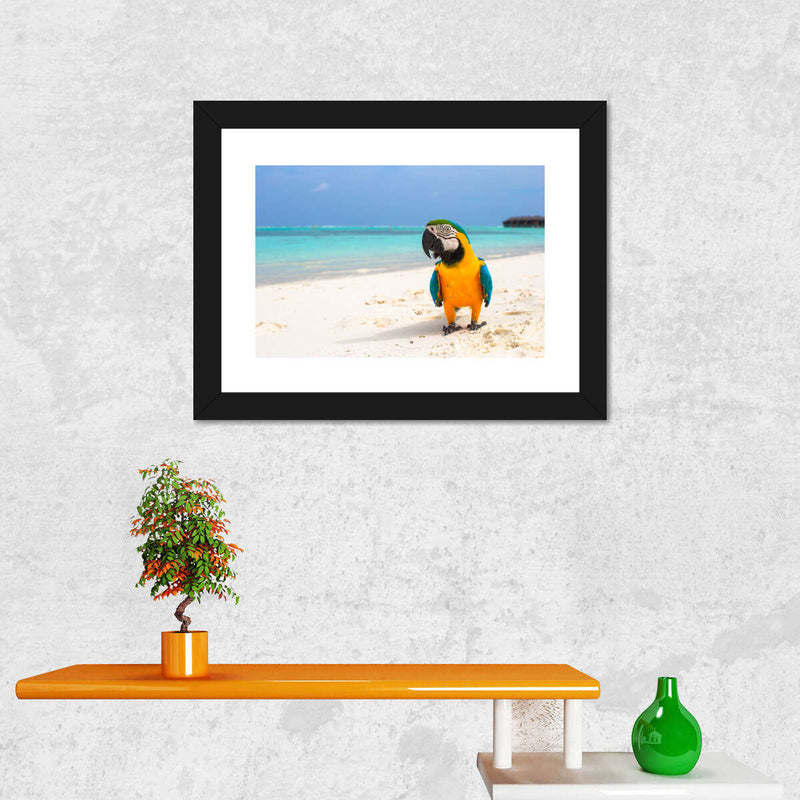 Parrot On Summer Day Wall Art