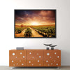 Vineyards Wall Art