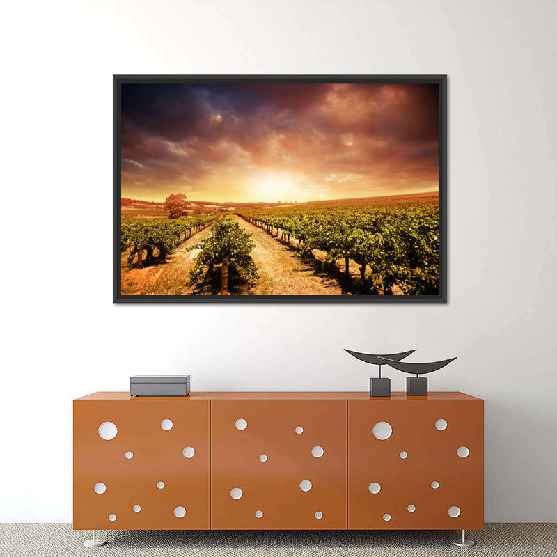 Vineyards Wall Art