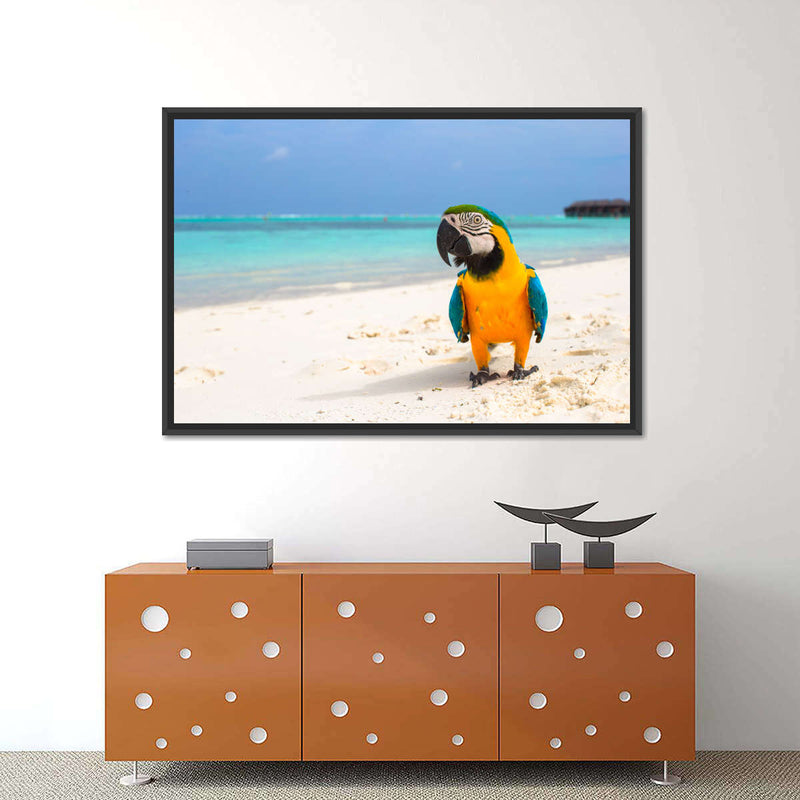 Parrot On Summer Day Wall Art