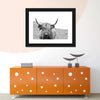 Solitary Highland Cow Wall Art