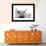 Solitary Highland Cow Wall Art