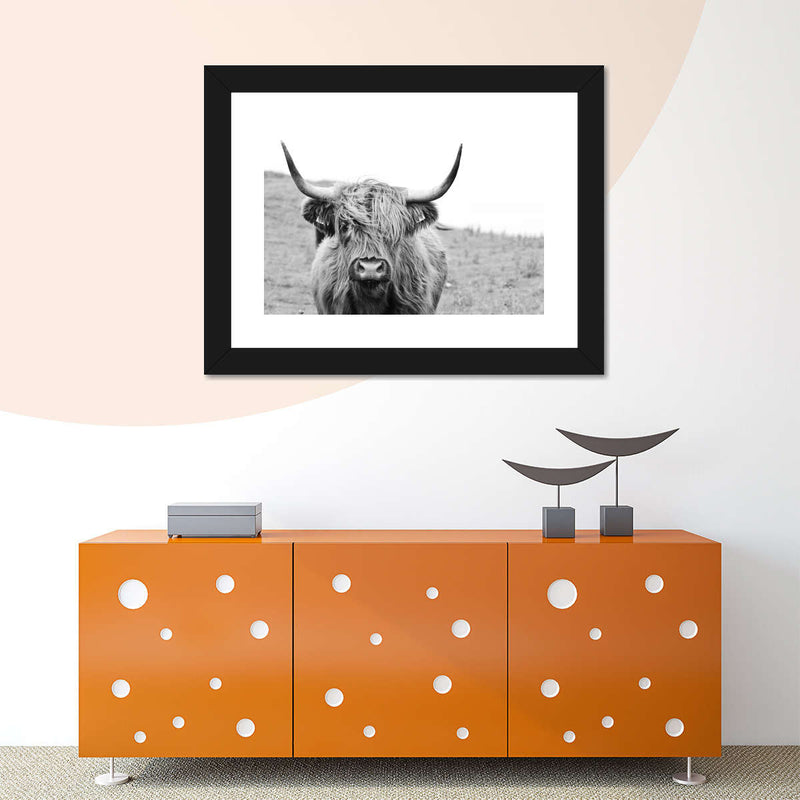 Solitary Highland Cow Wall Art