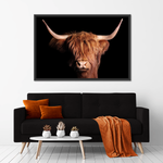 Scottish Highland Cow Wall Art