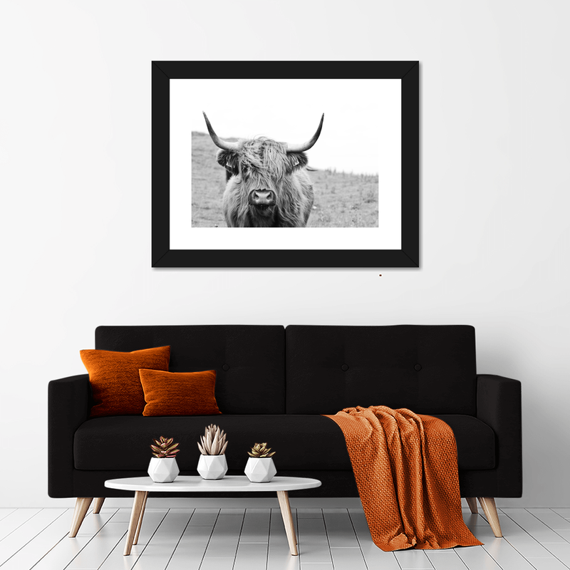 Solitary Highland Cow Wall Art