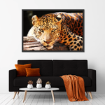 Leopard Gaze Wall Art