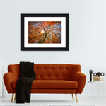 Japanese Maple Tree Wall Art
