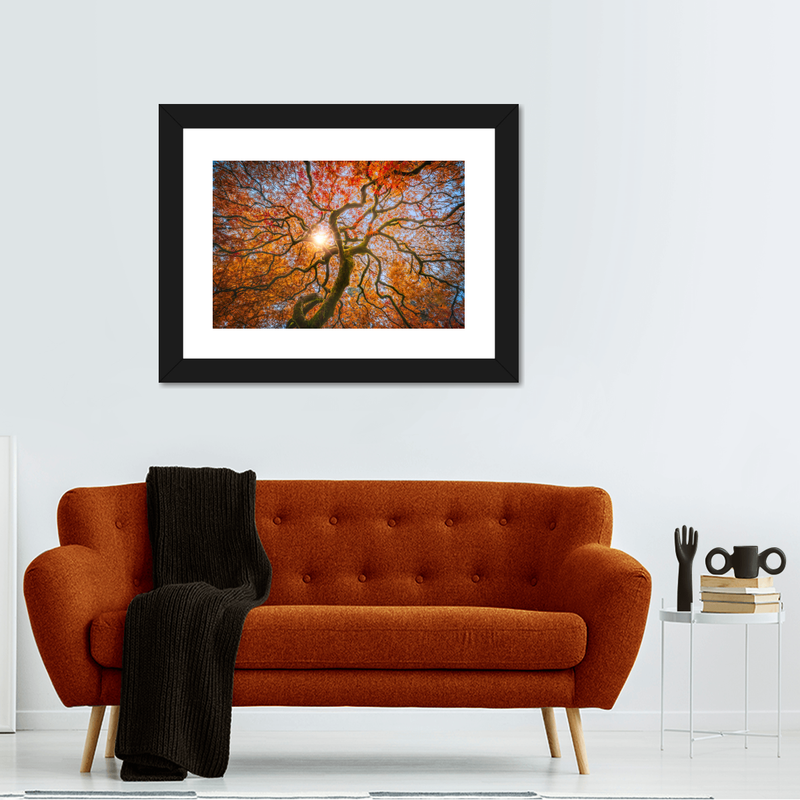 Japanese Maple Tree Wall Art