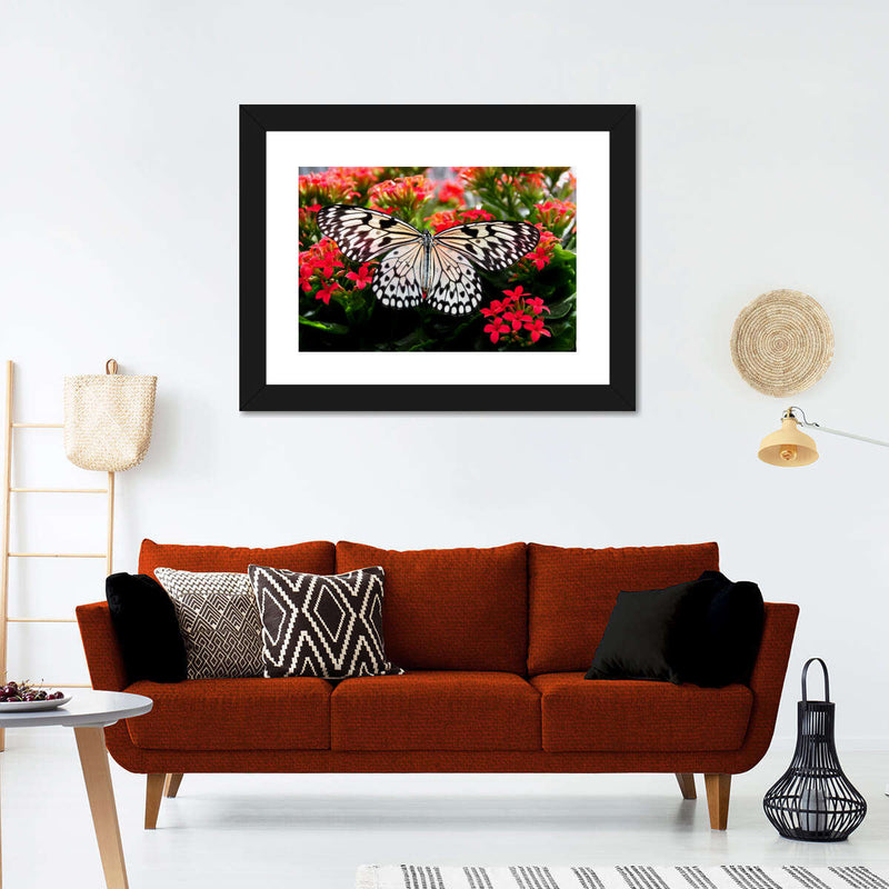Pretty Butterfly Wall Art