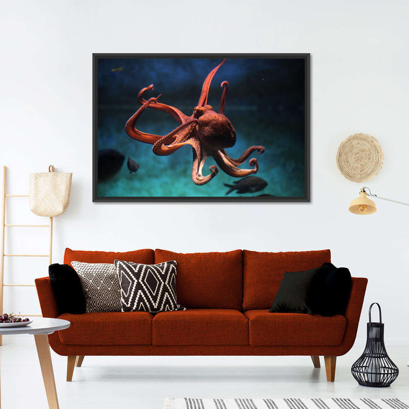Octopus Vulgaris Wall Art