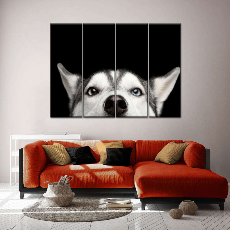 Peeking Siberian Husky Wall Art