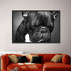 Melancholic French Bulldog Wall Art