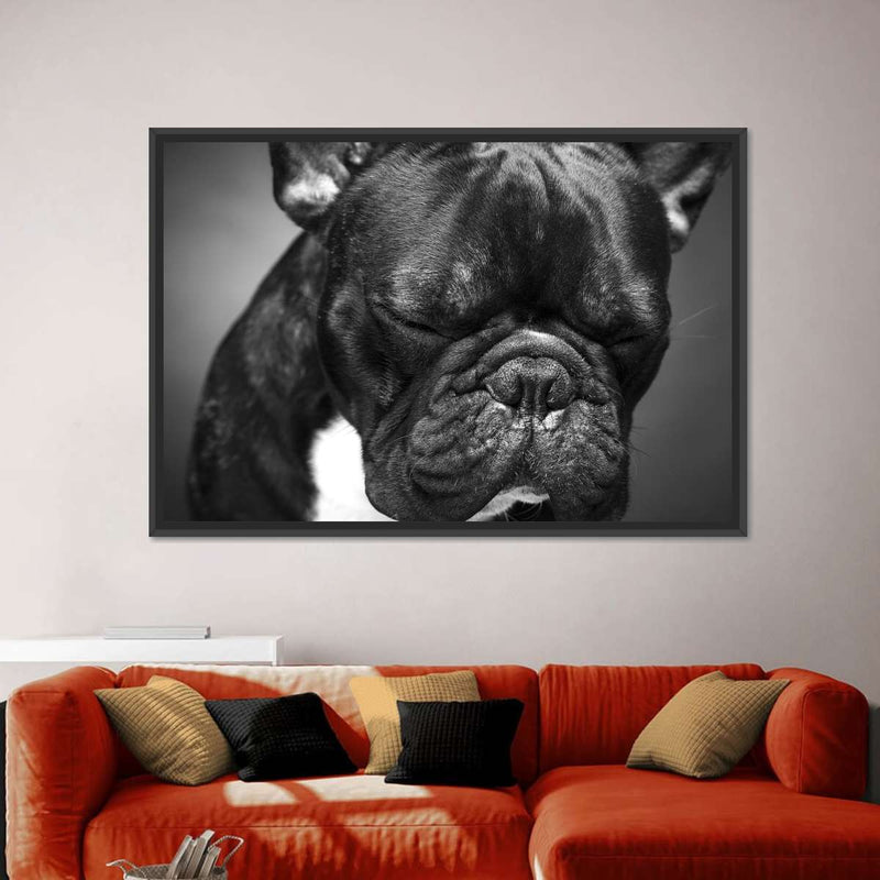 Melancholic French Bulldog Wall Art