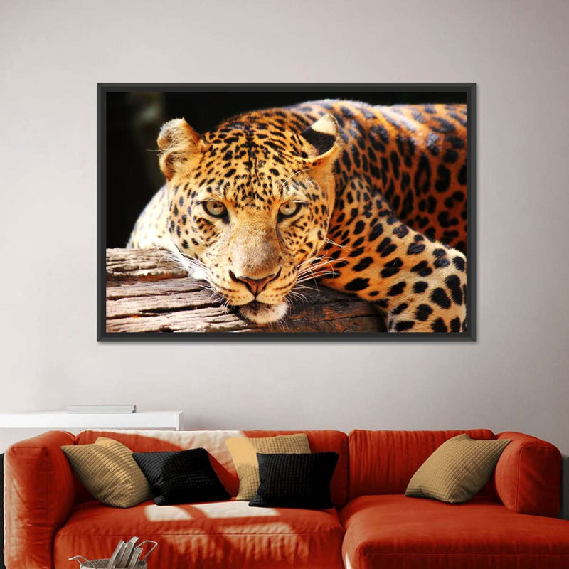 Leopard Gaze Wall Art