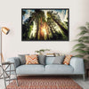 Redwood Trees Sunset Wall Art