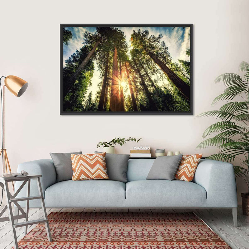 Redwood Trees Sunset Wall Art