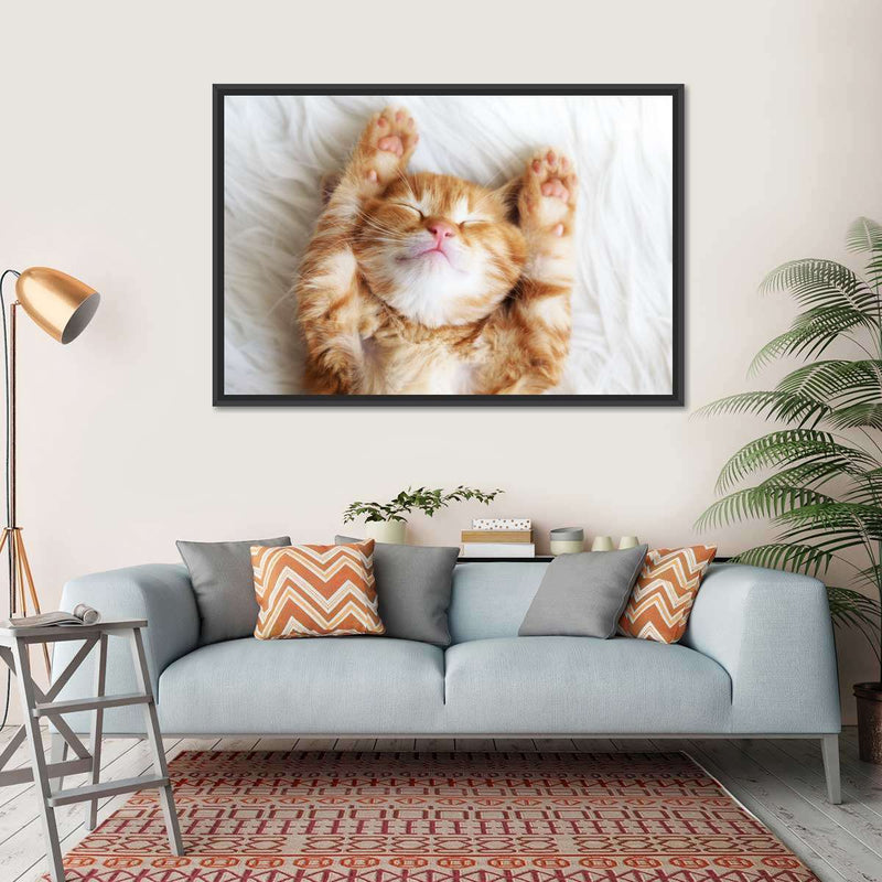 Sleepy Kitty Wall Art