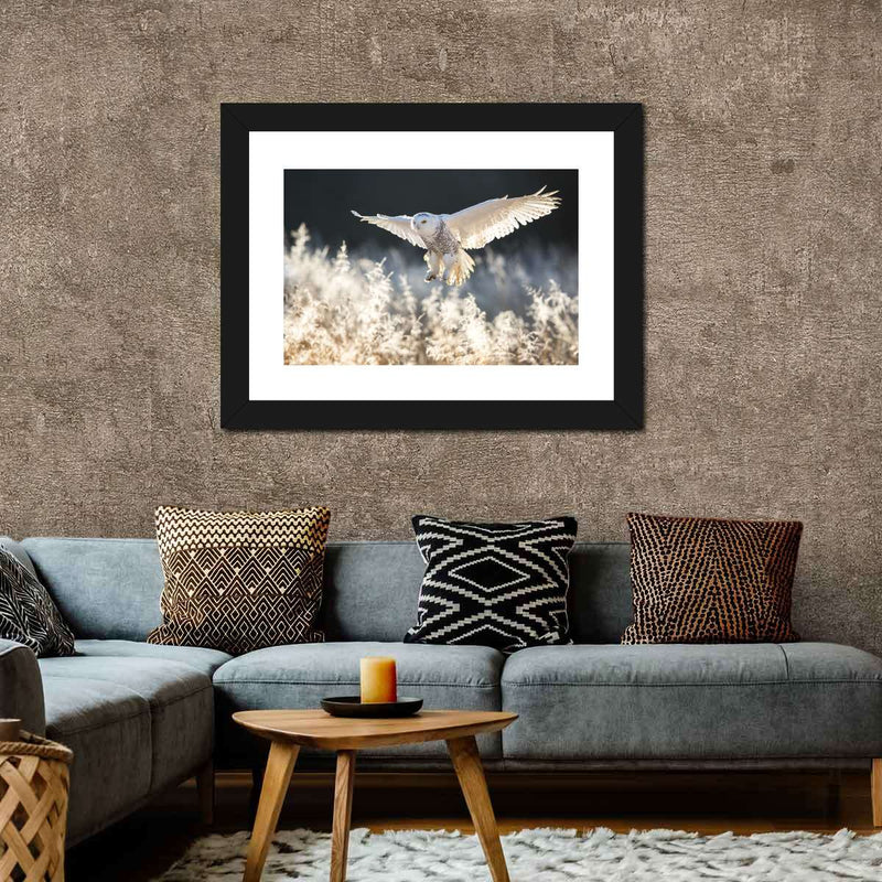 Snowy Owl Hunt Wall Art