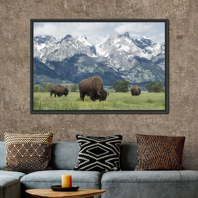 Grazing Teton Bison Wall Art