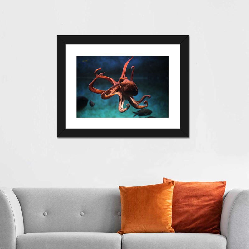 Octopus Vulgaris Wall Art