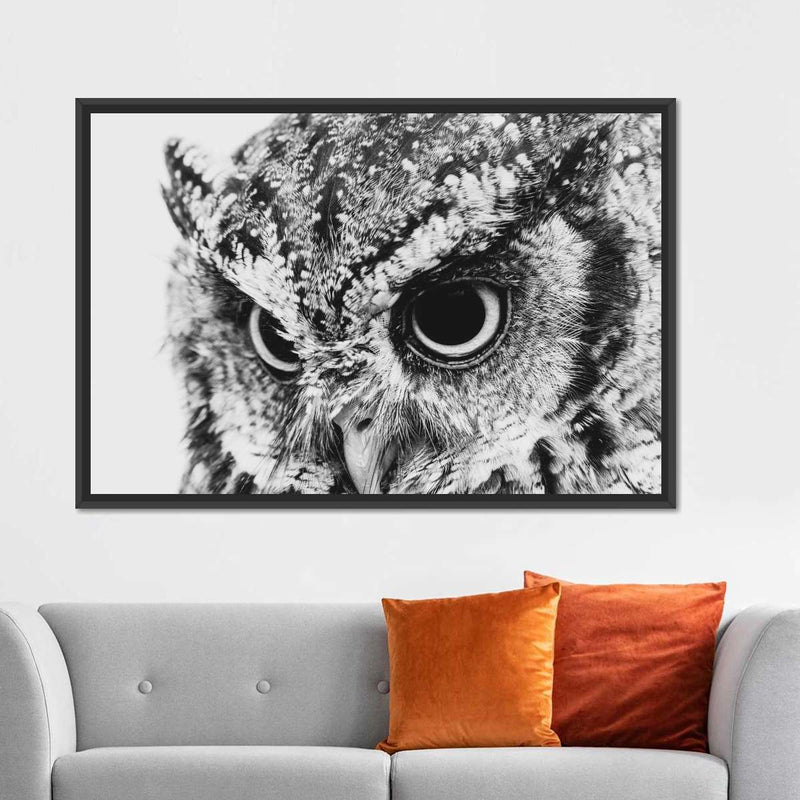 Staring Owl Wall Art