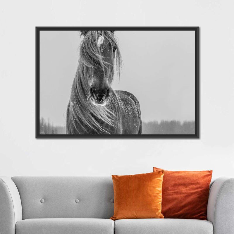 Winter Horse Wall Art