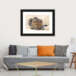 Watchful Jaguar Wall Art