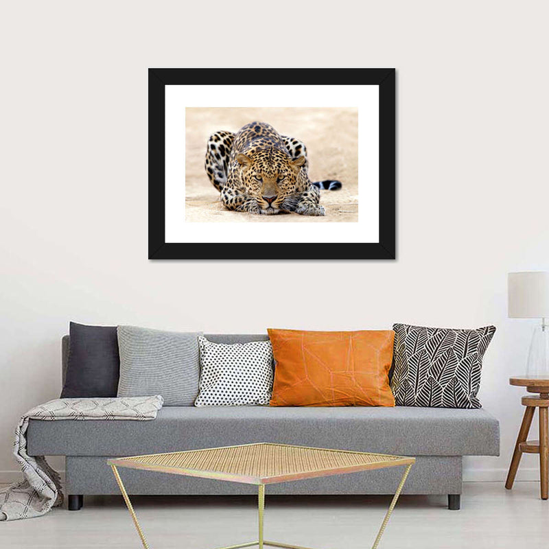Watchful Jaguar Wall Art