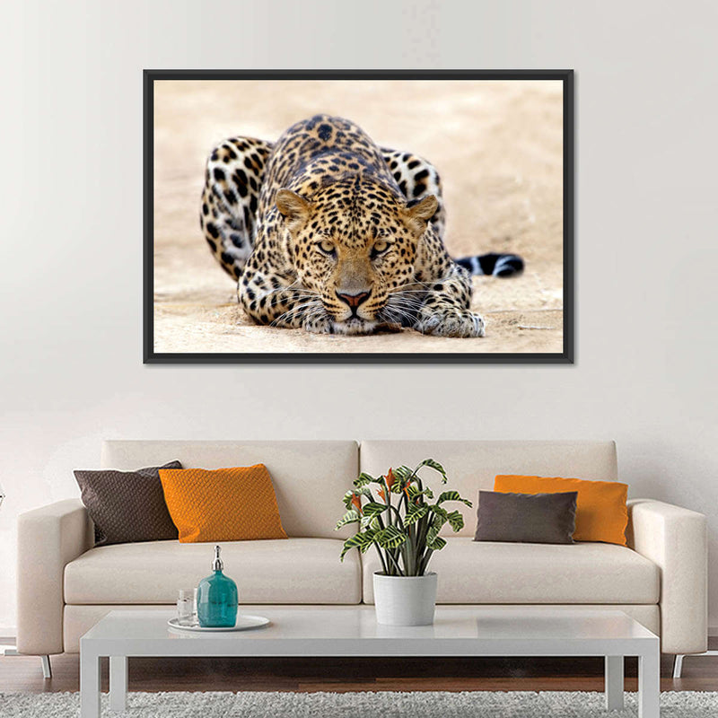 Watchful Jaguar Wall Art