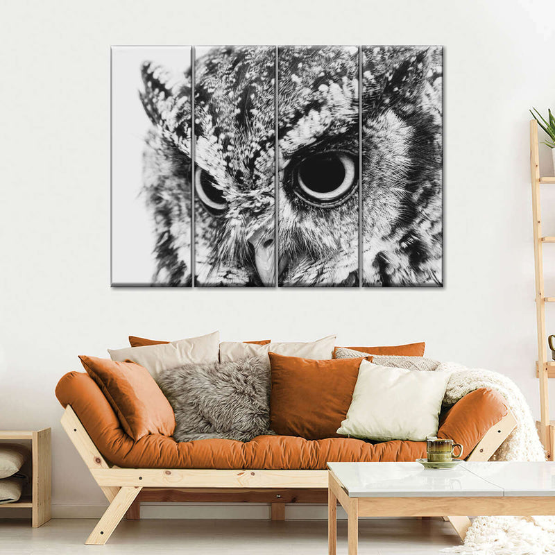 Staring Owl Wall Art