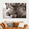 Moose Head Wall Art