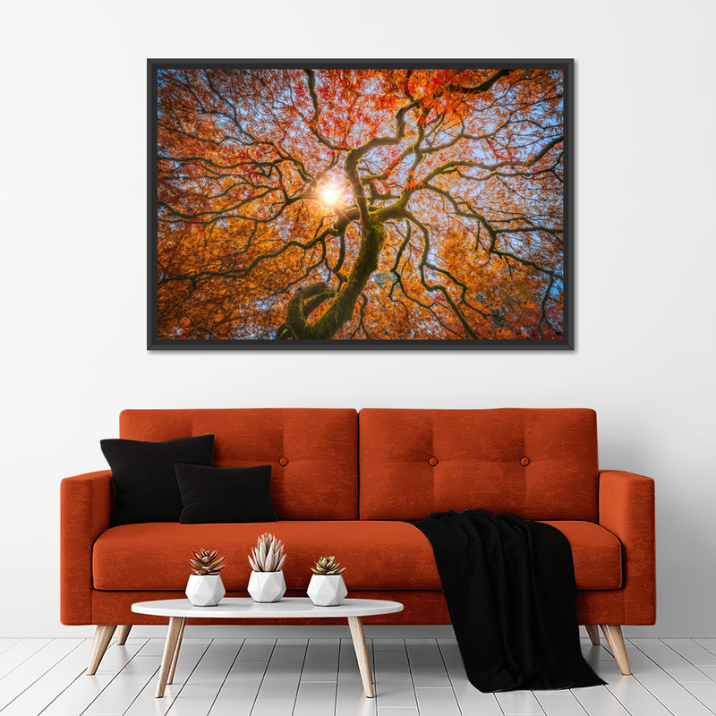 Japanese Maple Tree Wall Art
