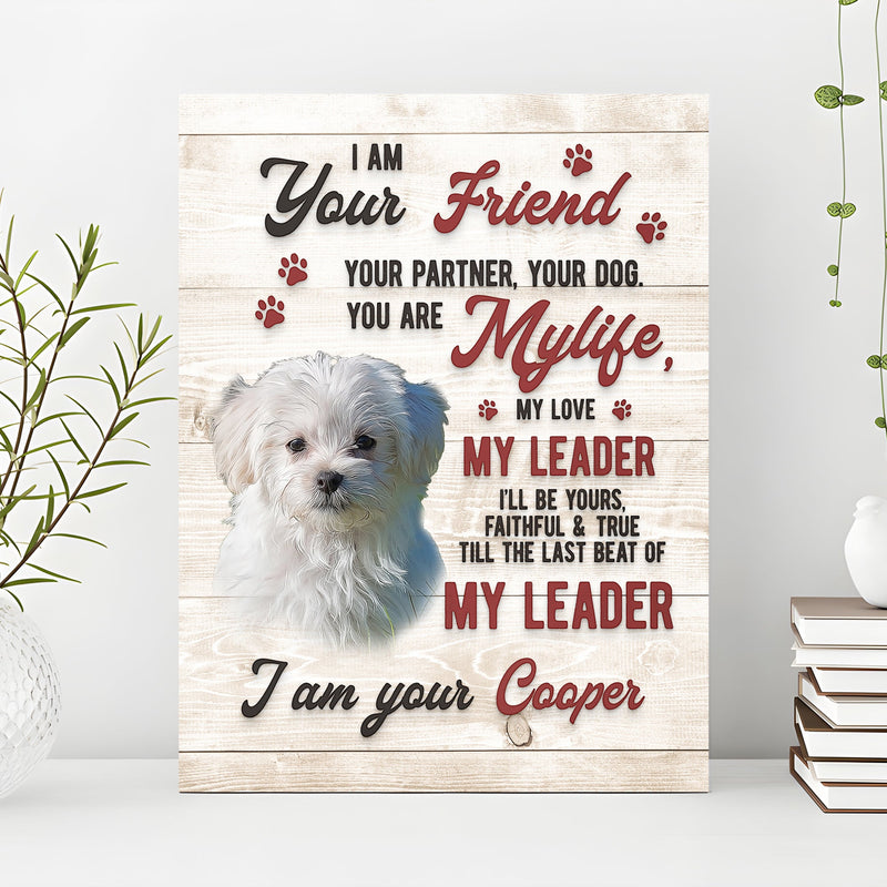 Pet Memorial Sign I Am Your Friend