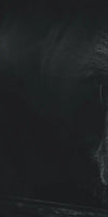Monochrome Brown Bear Wall Art