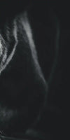 Monochrome Brown Bear Wall Art