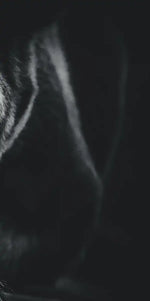 Monochrome Brown Bear Wall Art