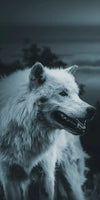 Moon Wolf Wall Art