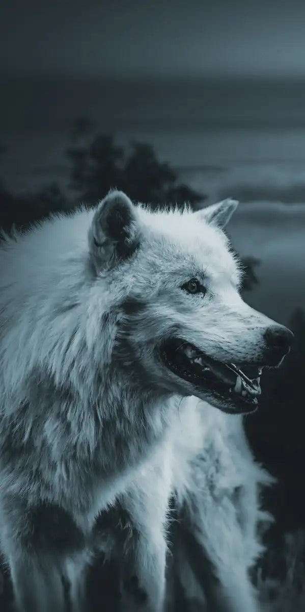 Moon Wolf Wall Art
