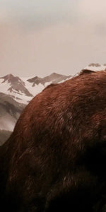 Moose Battle Wall Art