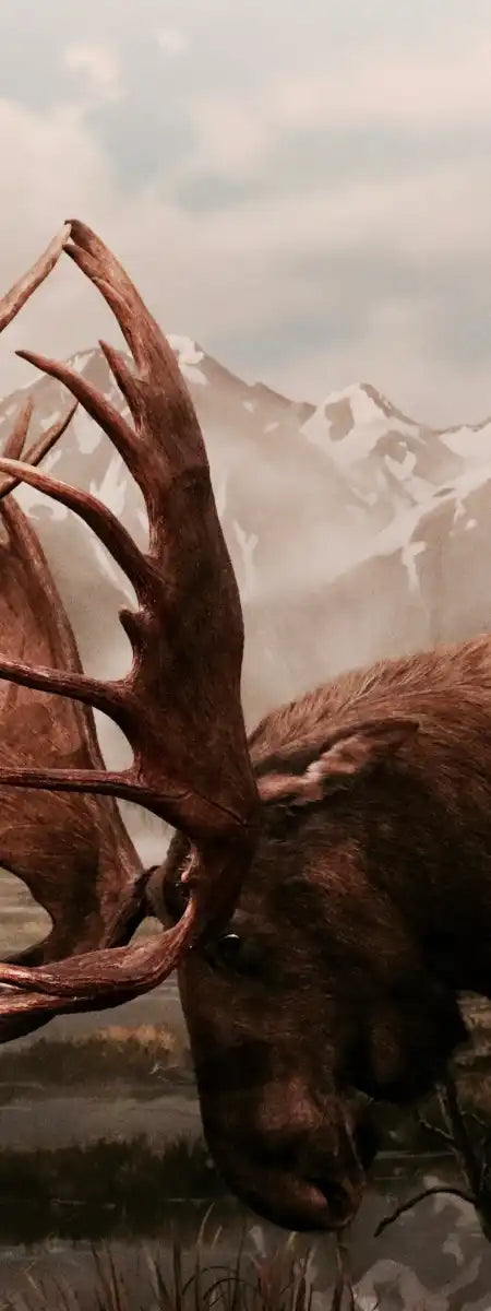 Moose Battle Wall Art