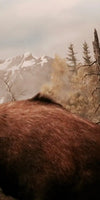 Moose Battle Wall Art