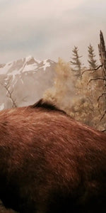 Moose Battle Wall Art